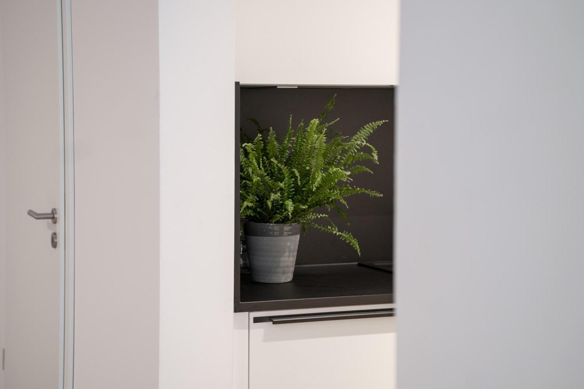 Schoentalhaus City Apartments Mit Balkon อาชาฟเฟนบวร์ก ภายนอก รูปภาพ